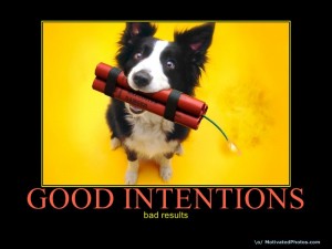 Good Intentions Bad Results