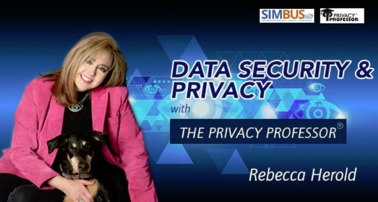 Data Security and Privacy with the Privacy Professor